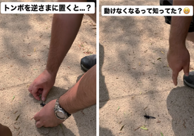 Pochitto(ぽちっト)神戸 | どうぶつ科学コミュニケーター通信