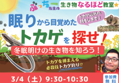 Pochitto(ぽちっト)神戸 | どうぶつ科学コミュニケーター通信