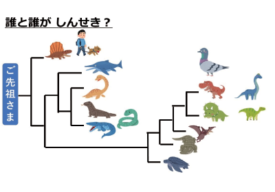 Pochitto（ぽちっト）神戸　｜　どうぶつ科学コミュニケーター通信