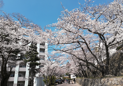 Pochitto(ぽちっト)神戸 | 神戸大学コラム
