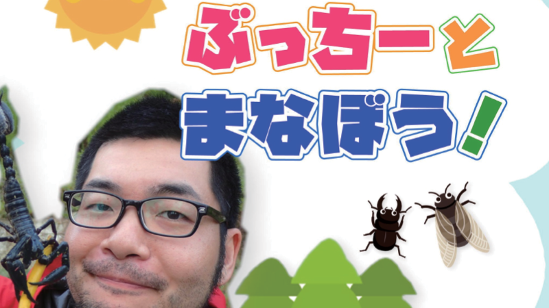 Pochitto(ぽちっト)神戸 |