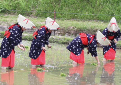 Pochitto(ぽちっト)神戸 | 国営明石海峡公園神戸地区あいな里山公園