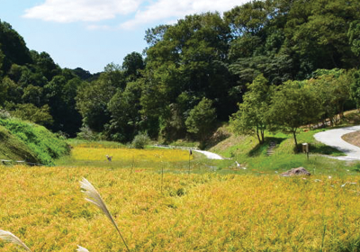 Pochitto(ぽちっト)神戸 | 国営明石海峡公園神戸地区あいな里山公園