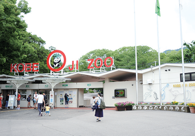 Pochitto(ぽちっト)神戸 | 神戸市立王子動物園