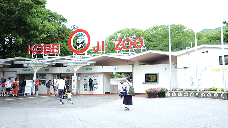 Pochitto(ぽちっト)神戸 | 神戸市立王子動物園