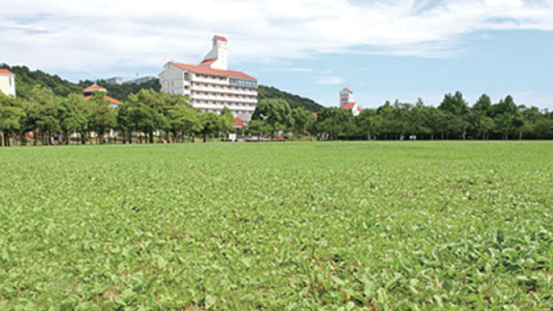 Pochitto(ぽちっト)神戸 | しあわせの村