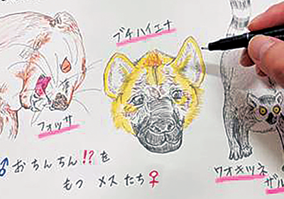 Pochitto(ぽちっト)神戸 | ぽちTOPICS