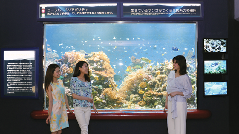 Pochitto(ぽちっト)神戸 | 神戸市立須磨海浜水族園